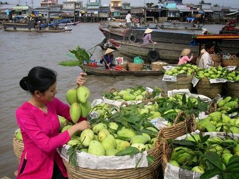 india boosts agricultural cooperation with mekong delta