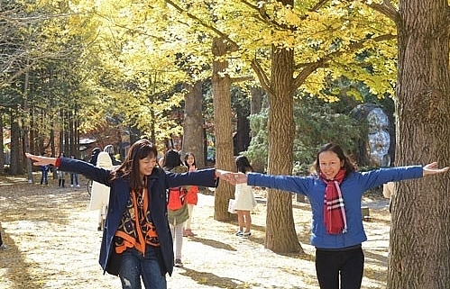 Travellers warned against substandard Tet tours