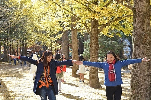 travellers warned against substandard tet tours