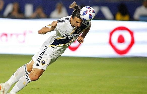 Swedish striker Ibrahimovic named top MLS newcomer