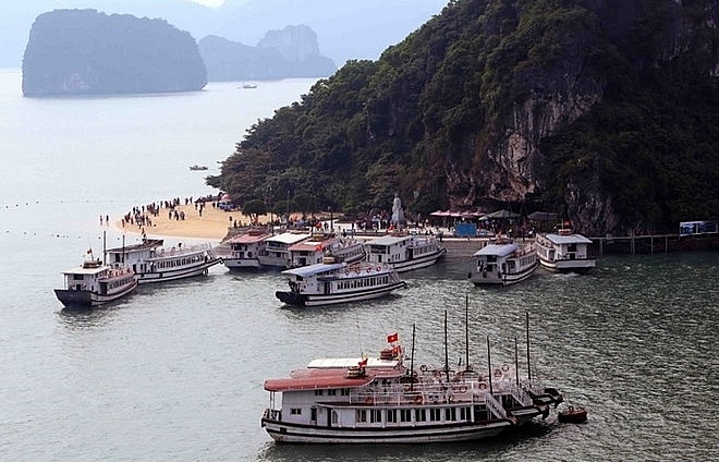 Halong city to inspect operations of tourist boats