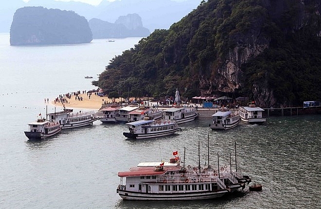 ha long city to inspect operations of tourist boats