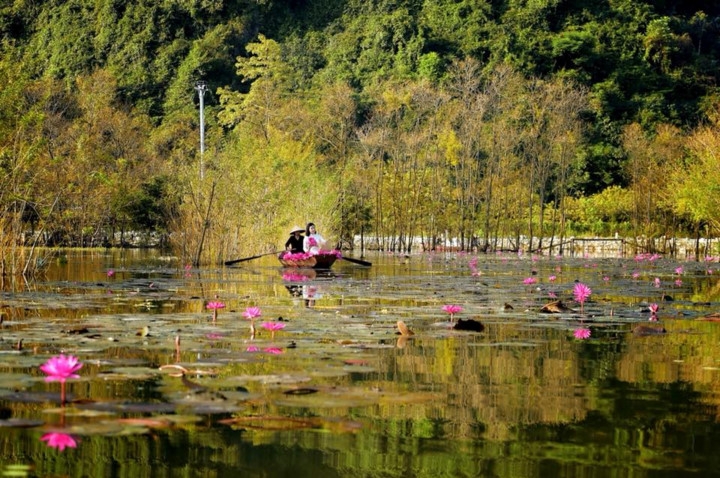 top check in points in hanoi during november