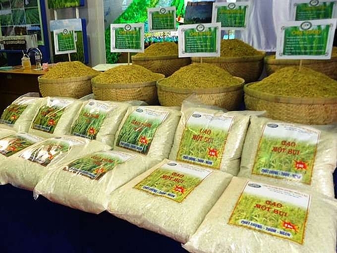 chinese rice importers visit vietnam to find new partners