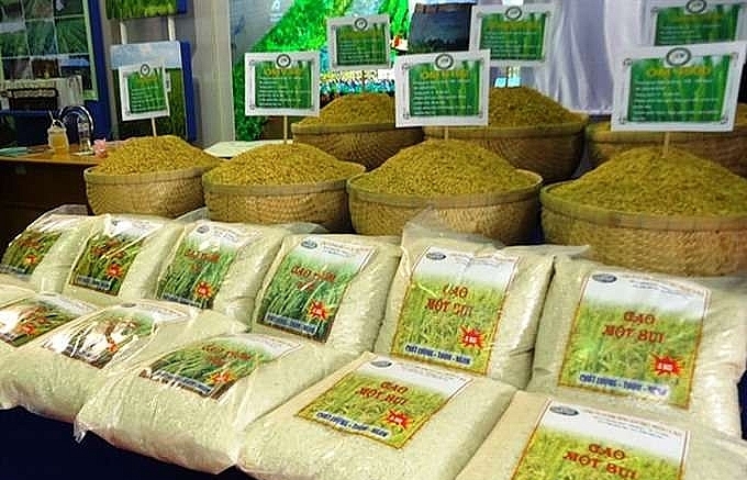 Chinese rice importers visit Vietnam to find new partners