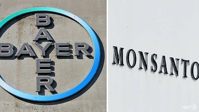 bayer to cut 12000 jobs after monsanto takeover