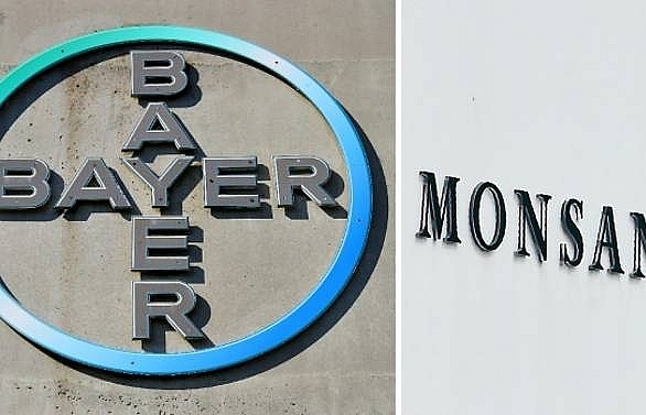 Bayer to cut 12,000 jobs after Monsanto takeover