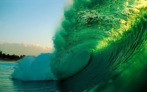 shares rise on good sentiment