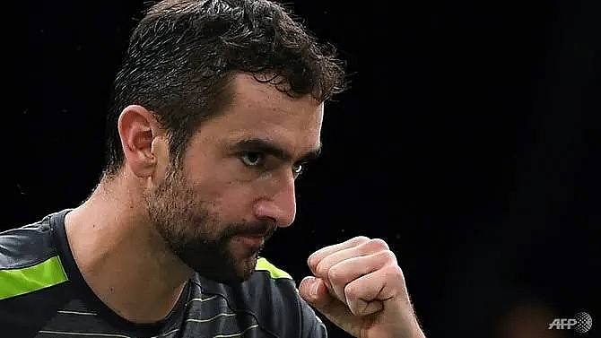 cilic pulls out of croatias davis cup squad due to injury