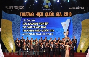 Vietnam’s national brand valued at 247 billion USD