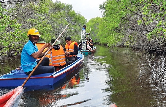 Livelihoods transformed with mangrove forest protection