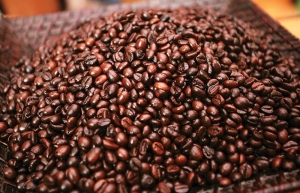 Coffee exporters squeezed with rising expenditures