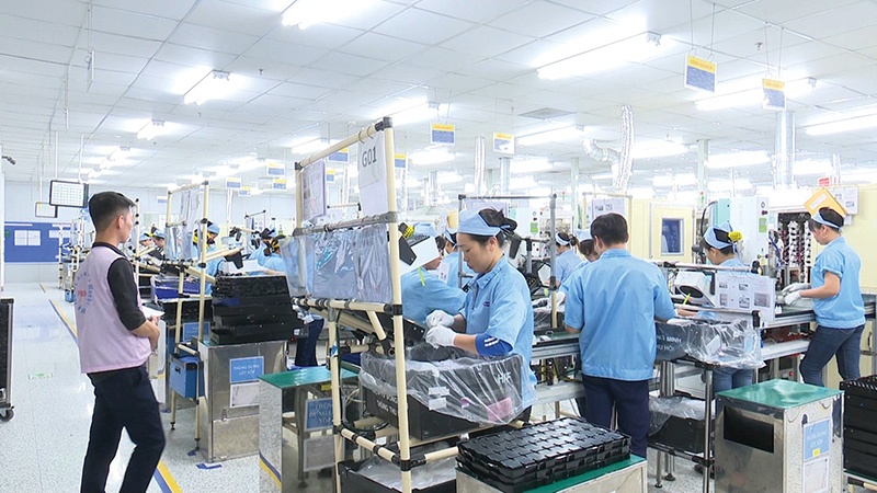 Manufacturing and processing driving Thai Nguyen