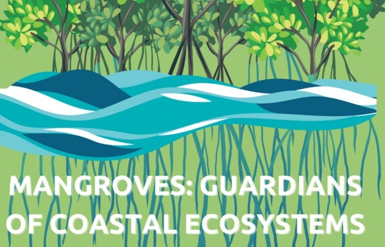 Mangroves: Guardians of coastal ecosystems