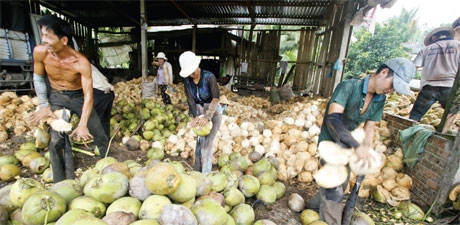 Ben Tre charms investors with  consistent investment incentives