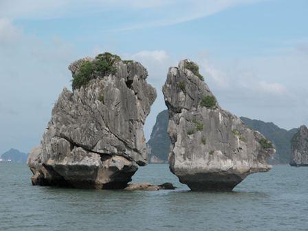 JICA helps protect environment in Ha Long Bay