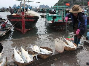 vnd301 billion needed for aquaculture sector in 2013