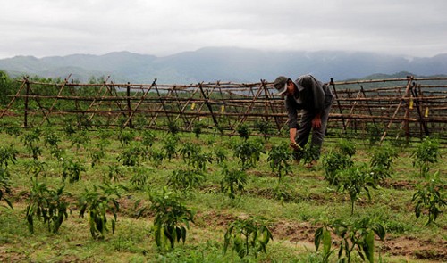 chinese invested projects sensitive to national defense stopped in da nang