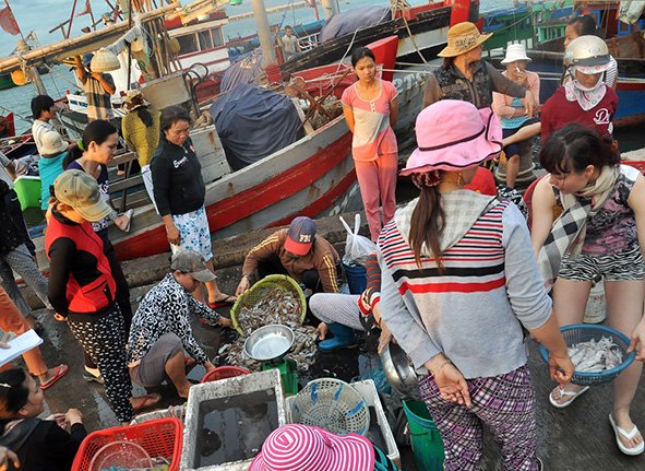 hectic tuy hoa fishing port at dawn