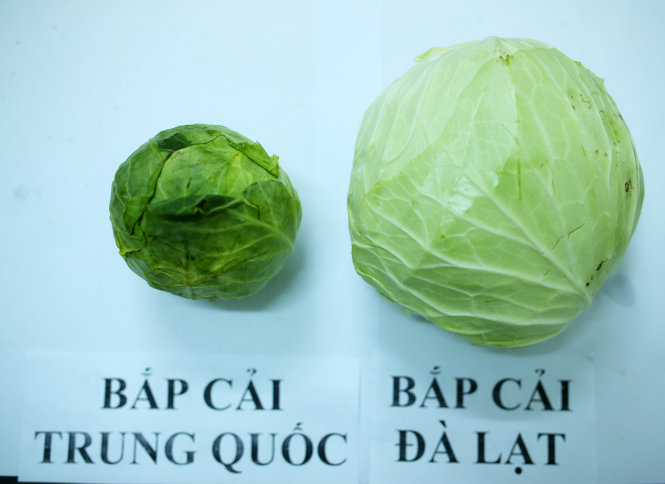 photos show striking difference between chinese veggie and vietnams da lat produce