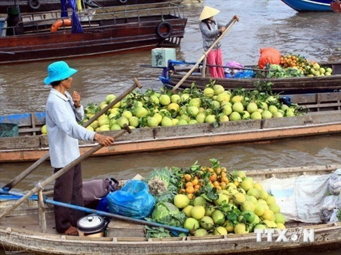 can tho to host intl mekong delta agriculture festival