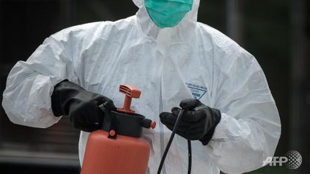 hong kong records winters first bird flu death