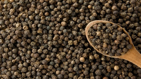 dong nai exports more than 800 tons of pepper to germany netherlands