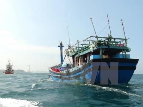Bình Định fishing boats hit by Typhoon Kaitak