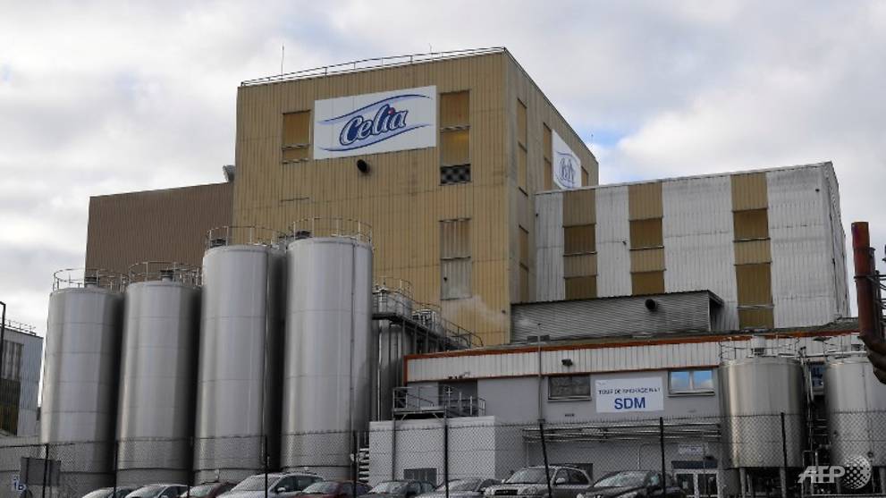 france to probe lactalis baby milk salmonella scare