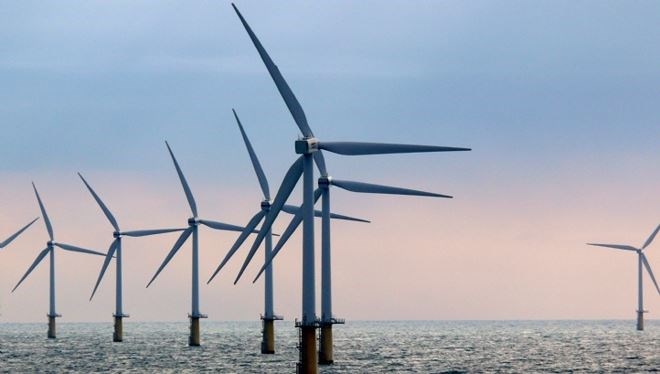 vietnams largest offshore wind farm pushes ahead