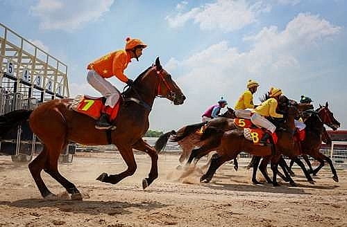 horse racing track added to hanoi plan