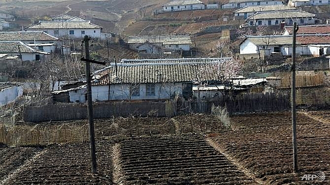 north korea admits farming failures amid food shortages