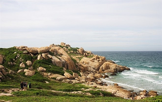 tiny isle in binh thuan ideal destination for nature lovers