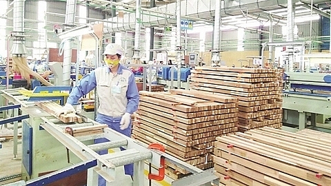 foreign investment increases in wood processing industry