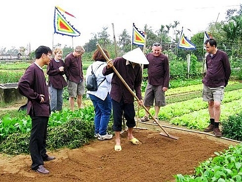hoi an gears up for tours to tra que vegetable village