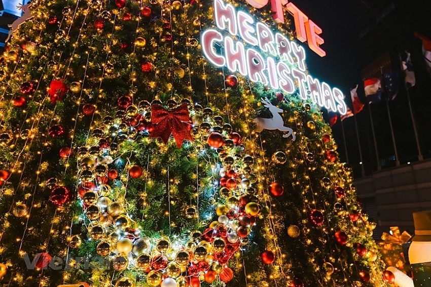 giant christmas trees in capital city