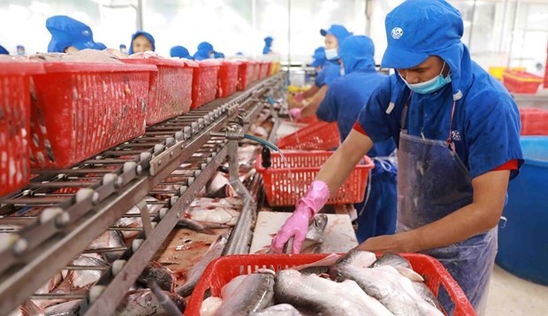 Room for Vietnam’s seafood exports to Canada remains large