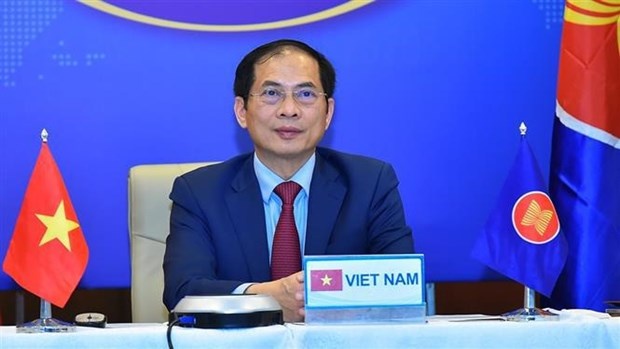 Vietnamese Minister of Foreign Affairs Bui Thanh Son. (Photo: VNA)