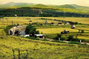 Agri-tech on top of development plans for Phu Yen