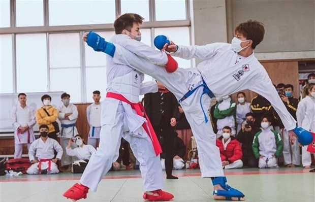 Karate tournament organised for Vietnamese expats in Japan