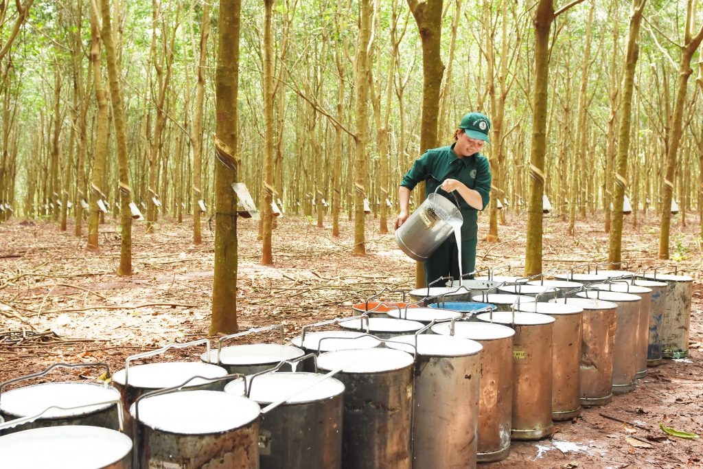 Rubber industry aims for quality and sound solutions