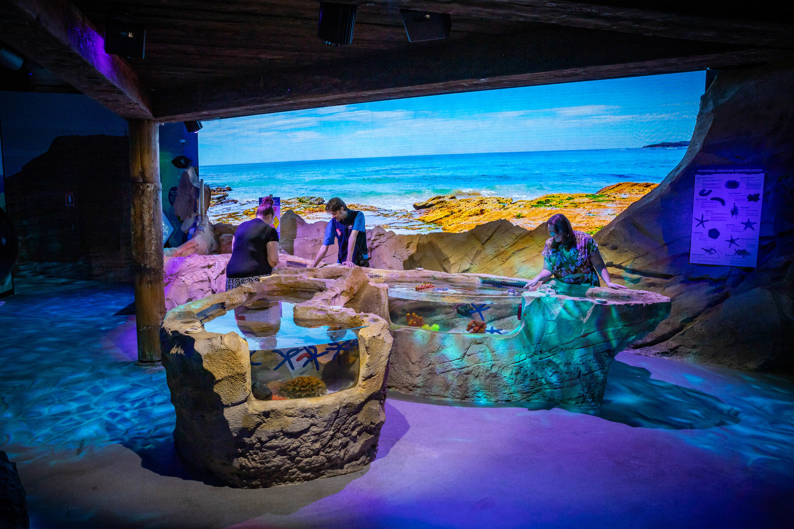 New Rockpool at SEA LIFE Sydney Aquarium