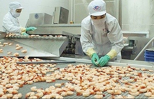 Mitsui invests $100 million in Vietnam’s king of shrimp Minh Phu