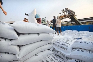 Vietnamese rice exports break price record
