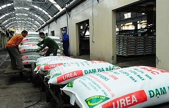 Inundating losses may force Ha Bac Fertiliser out of business