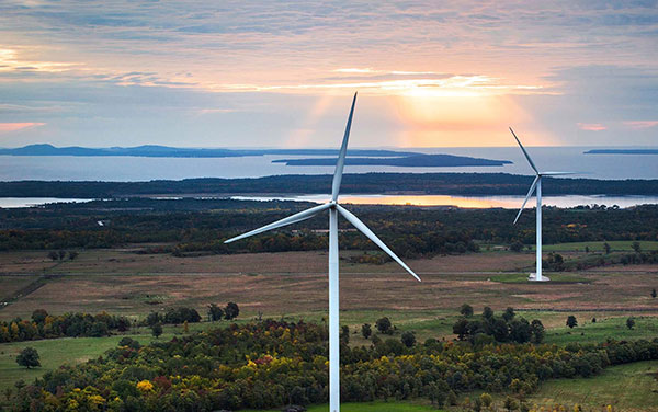 Low feed-in tariff freezes wind power projects