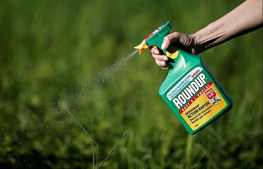 Half the crops in would be lost without pesticides