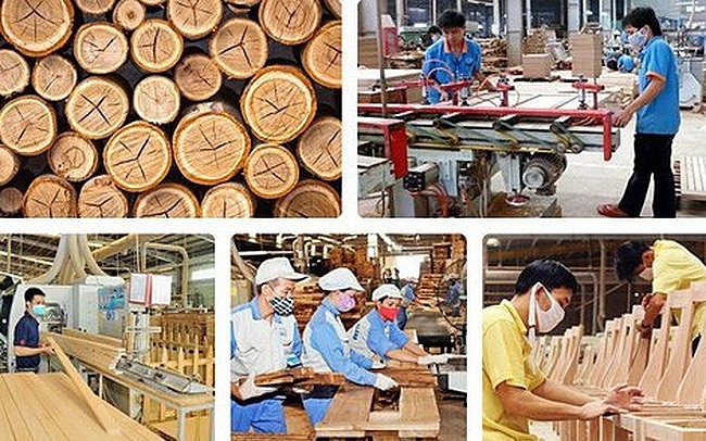 Timber companies in Vietnam: seizing the opportunity