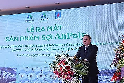 an phat holdings takes dinh vu polyester plant to new stage