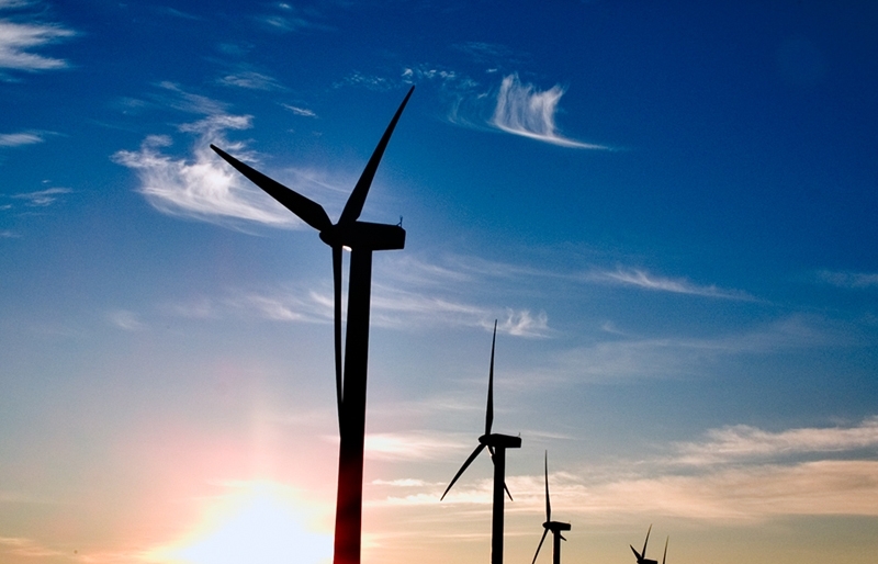 Wind power fuels green growth in Vietnam: IFC